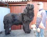 Превью фото № 224674