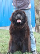 Превью фото № 224677