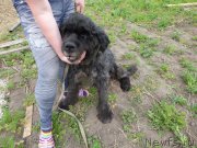 Превью фото № 224711