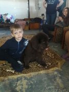 Превью фото № 224764