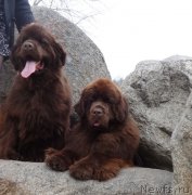 Превью фото № 224783