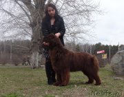 Превью фото № 224786