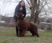 Превью фото № 224789