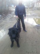 Превью фото № 224799