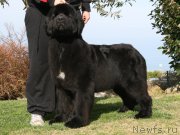 Превью фото № 224800