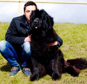 Превью фото № 224813