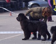 Превью фото № 224842