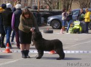 Превью фото № 224847