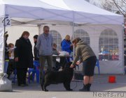 Превью фото № 224848