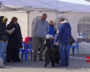 Превью фото № 224849