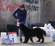 Превью фото № 224851