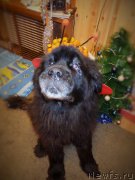 Превью фото № 224922