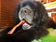 Превью фото № 224924