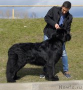 Превью фото № 224932