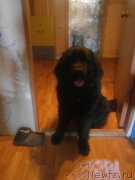 Превью фото № 224937