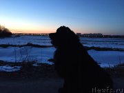 Превью фото № 224948