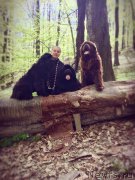 Превью фото № 224958