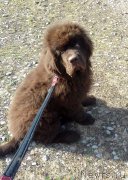 Превью фото № 224993