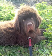 Превью фото № 224994