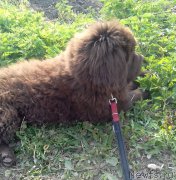 Превью фото № 224996