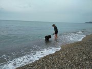 Превью фото № 224999