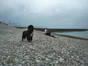 Превью фото № 225000