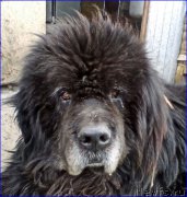 Превью фото № 225035