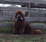 Превью фото № 225049