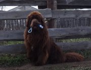 Превью фото № 225050