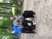 Превью фото № 225065