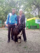 Превью фото № 225066