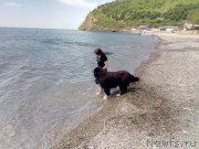 Превью фото № 225093