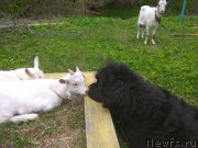 Превью фото № 225099