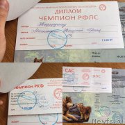 Превью фото № 225127