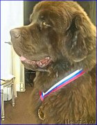 Превью фото № 225146