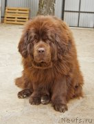 Превью фото № 225155