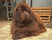 Превью фото № 225156