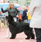 Превью фото № 225221