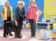 Превью фото № 225224