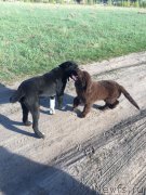 Превью фото № 225227