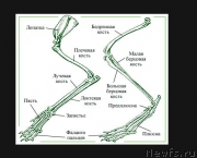 Превью фото № 225323