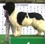 Превью фото № 225327