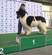 Превью фото № 225329