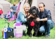 Превью фото № 225407