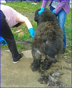 Превью фото № 225420