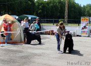 Превью фото № 225429