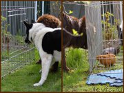 Превью фото № 225441