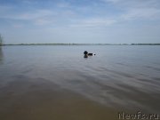 Превью фото № 225442