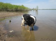 Превью фото № 225444