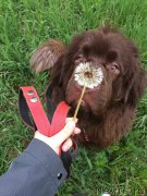 Превью фото № 225455